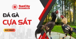Đá gà cựa sắt tại Suncity